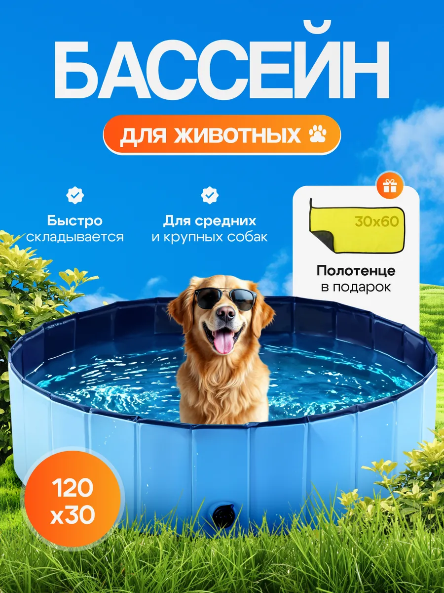 Бассейн для собак