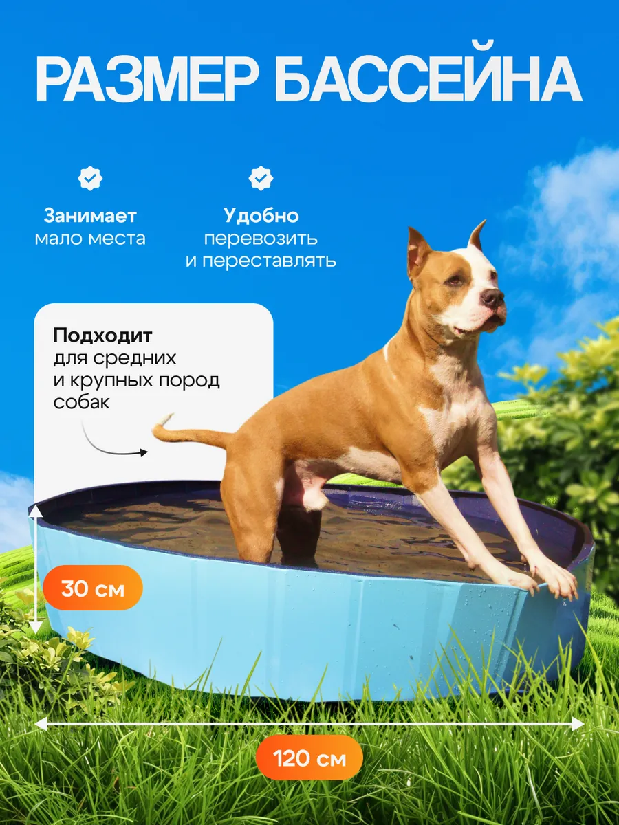 Бассейн в использовании